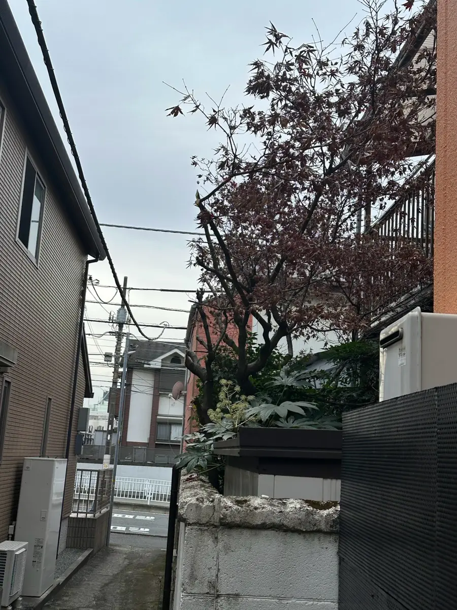 庭手入れ後