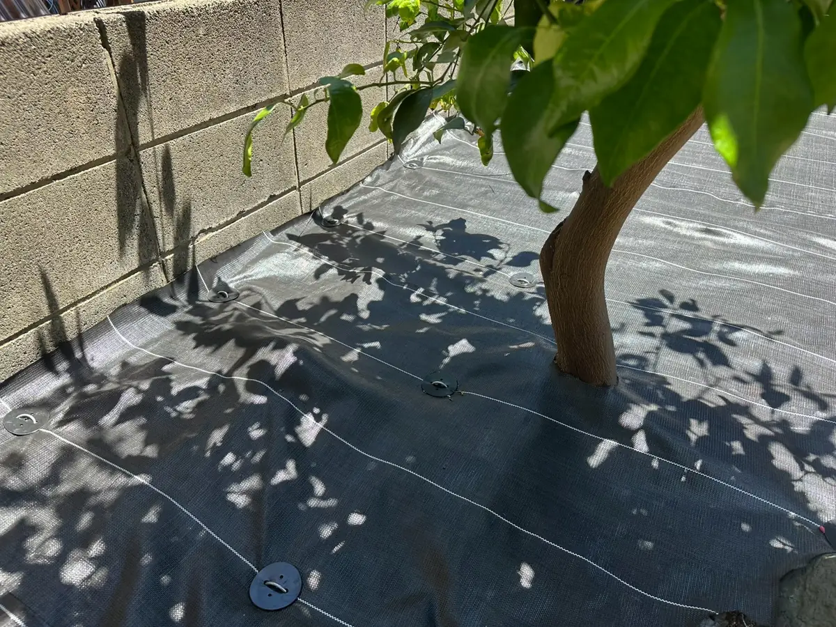 防草シート施工後