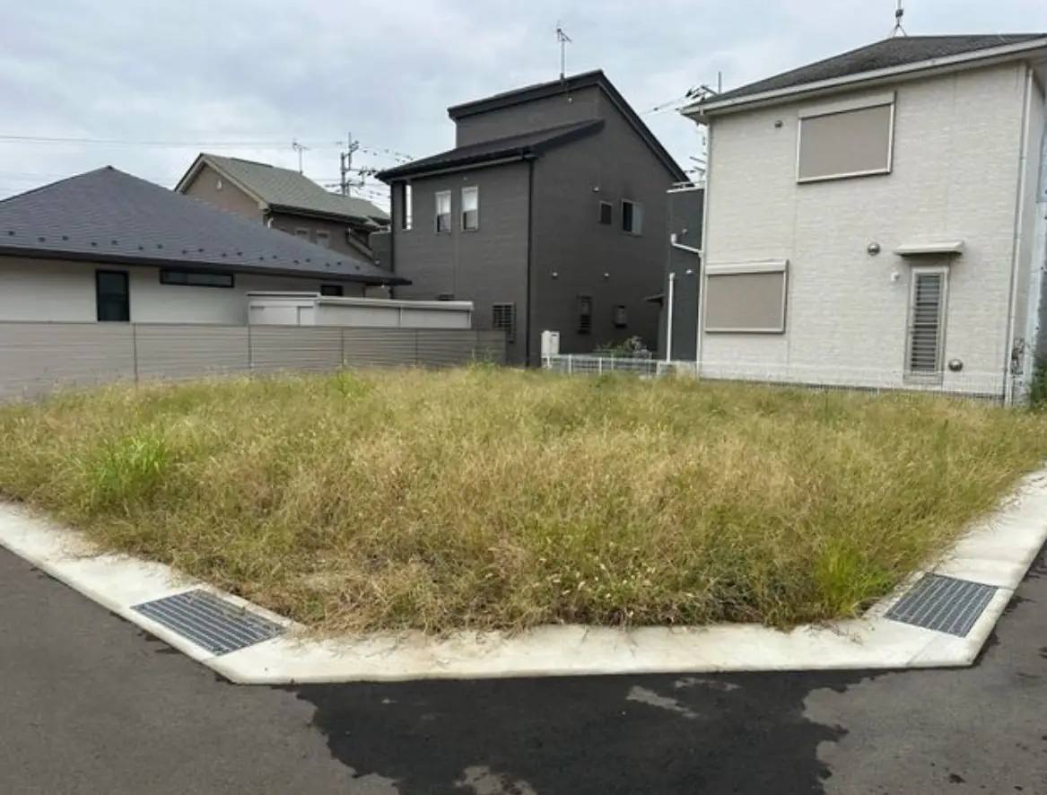 雑草が伸びた空き地の草刈り前
